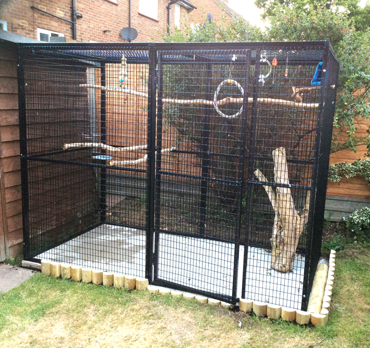 barrys aviary and- play pen
