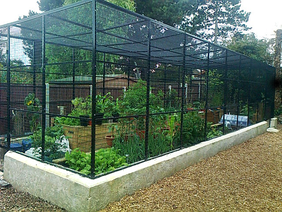 caged-garden-1