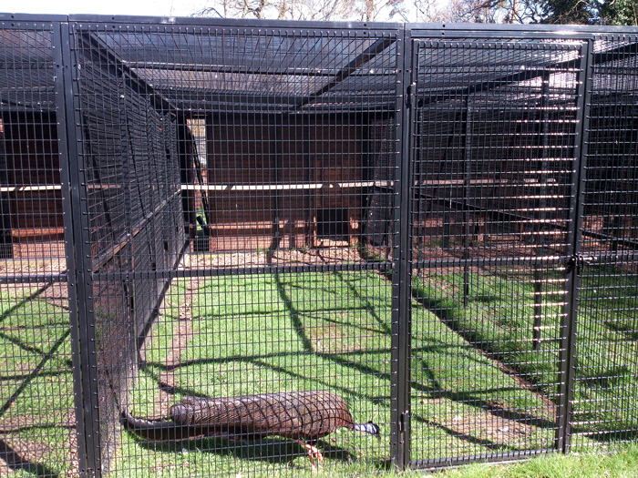 Image of Cages at Zoo